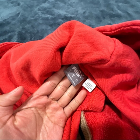 Puma - Picture 2 of 3